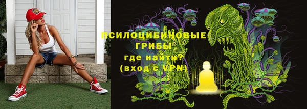амф Нефтегорск