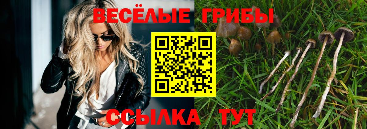 Кропоткин  Галлюциногенные грибы GOLDEN TEACHER  Вход с VPN 