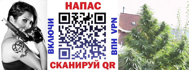 ссылка на мегу онион  Кропоткин  Конопля гибрид 